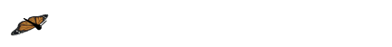butterfly1.gif